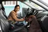 Dextra privat rechtsschutz move XL frau mit hund im auto